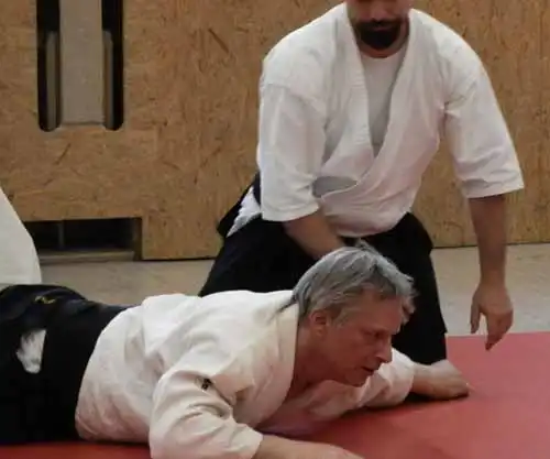 Aikido seminar in Berlin 2012.